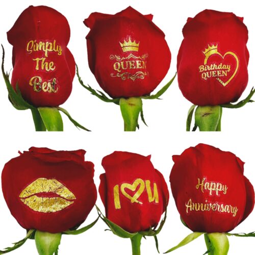 Assorted live sentiments applied to six roses showing multiple message designs on rose petals