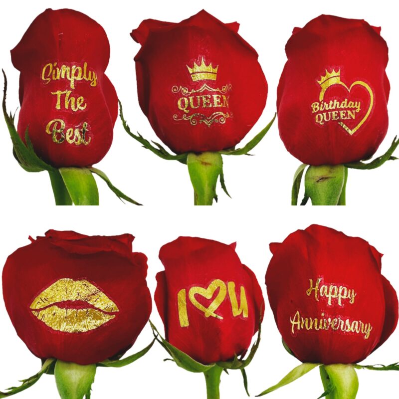 Assorted live sentiments applied to six roses showing multiple message designs on rose petals
