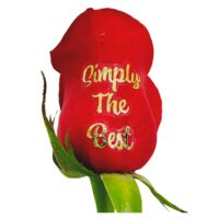 Simply the Best gold foil live sentiment applied to a red rose petal