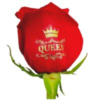 Queen gold foil live sentiment applied to a red rose petal