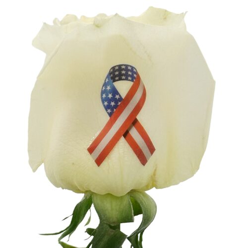 American Flag Ribbon - Color Live Sentiment