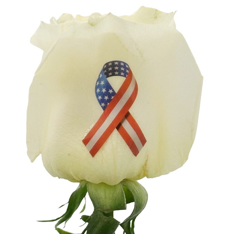 American Flag Ribbon - Color Live Sentiment