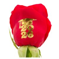 Graduation 2026  - Gold Foil Live Sentiment