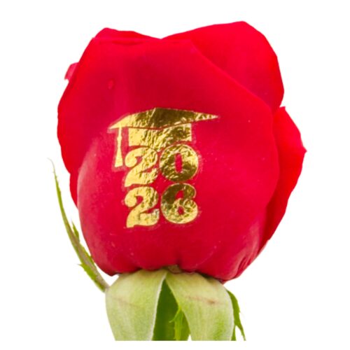 Graduation 2026  - Gold Foil Live Sentiment