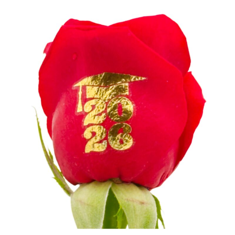Graduation 2026  - Gold Foil Live Sentiment