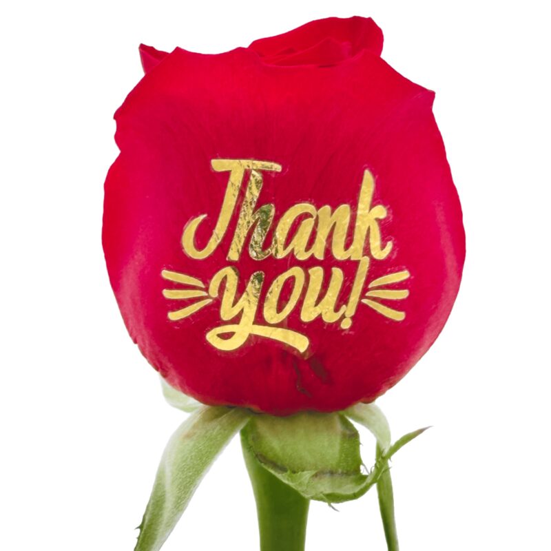 Thank you  - Gold Foil Live Sentiment