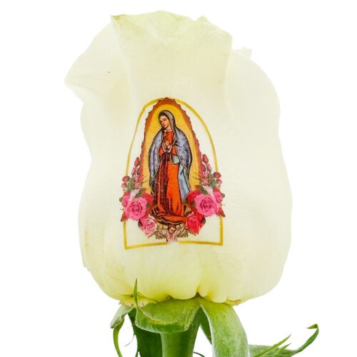 Virgin Mary  - Color Live Sentiment