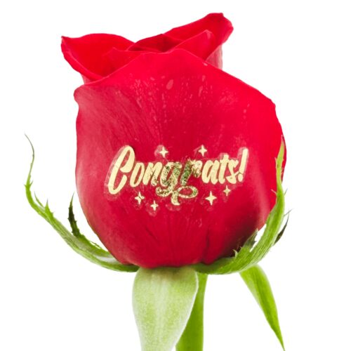 Congrats!  - Gold Foil Live Sentiment